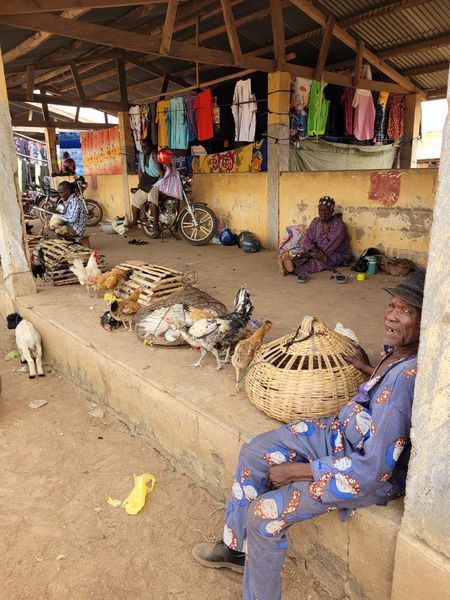 Togo Markt Hhner 102.jpg